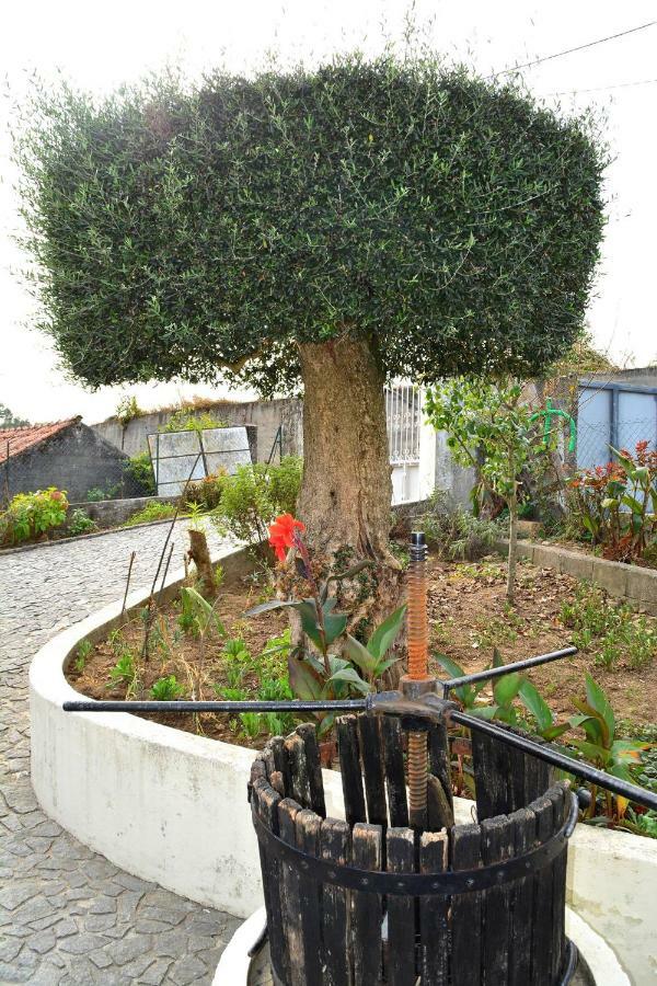 Гостевой дом Casa Rebelo Cossourado  Экстерьер фото