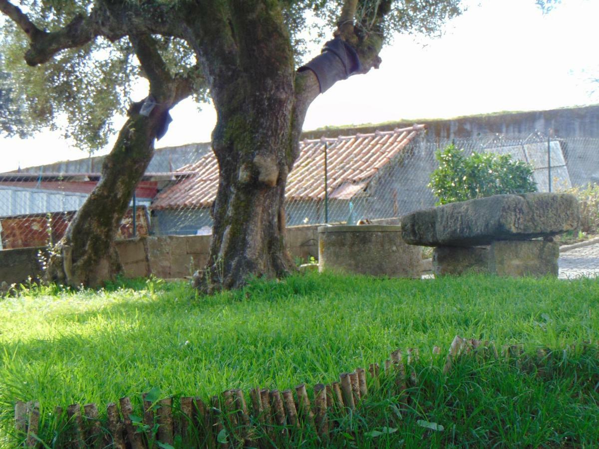 Гостевой дом Casa Rebelo Cossourado  Экстерьер фото